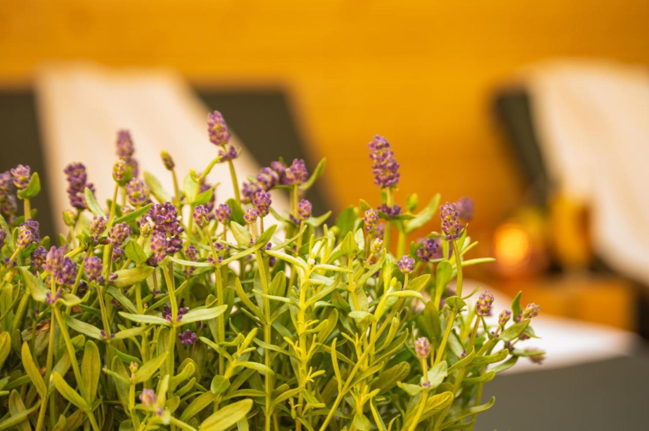 Wellnessoase Mitten In Der Wasserfallstadt Triberg 特里贝格 外观 照片